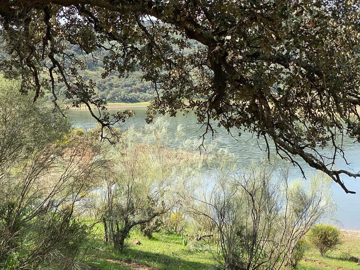 El Capricho Villa El Ronquillo Holiday home